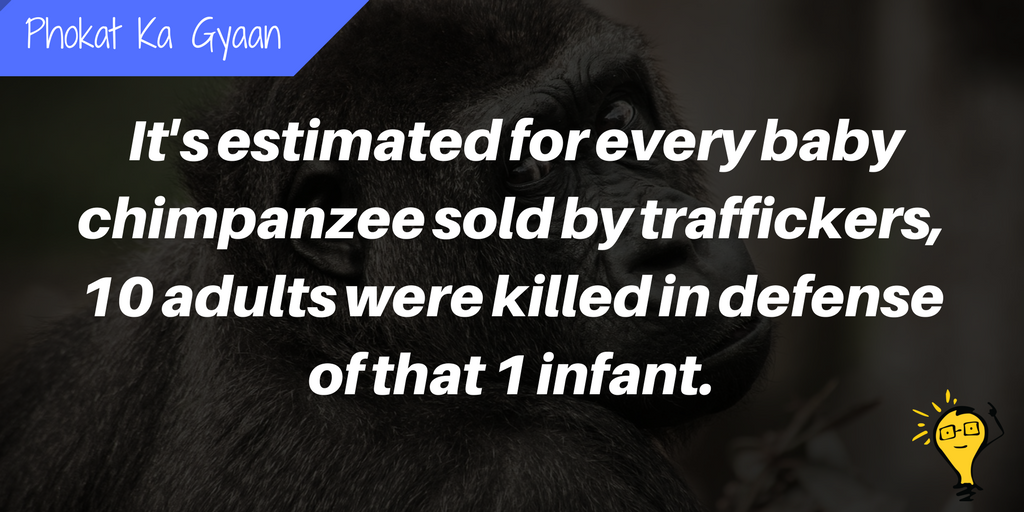 BEINGiShMART's tweet photo. #DidYouKnow 
#Phokat_ka_Gyaan #Fact #Facts #350 https://t.co/8Q3gargfP7