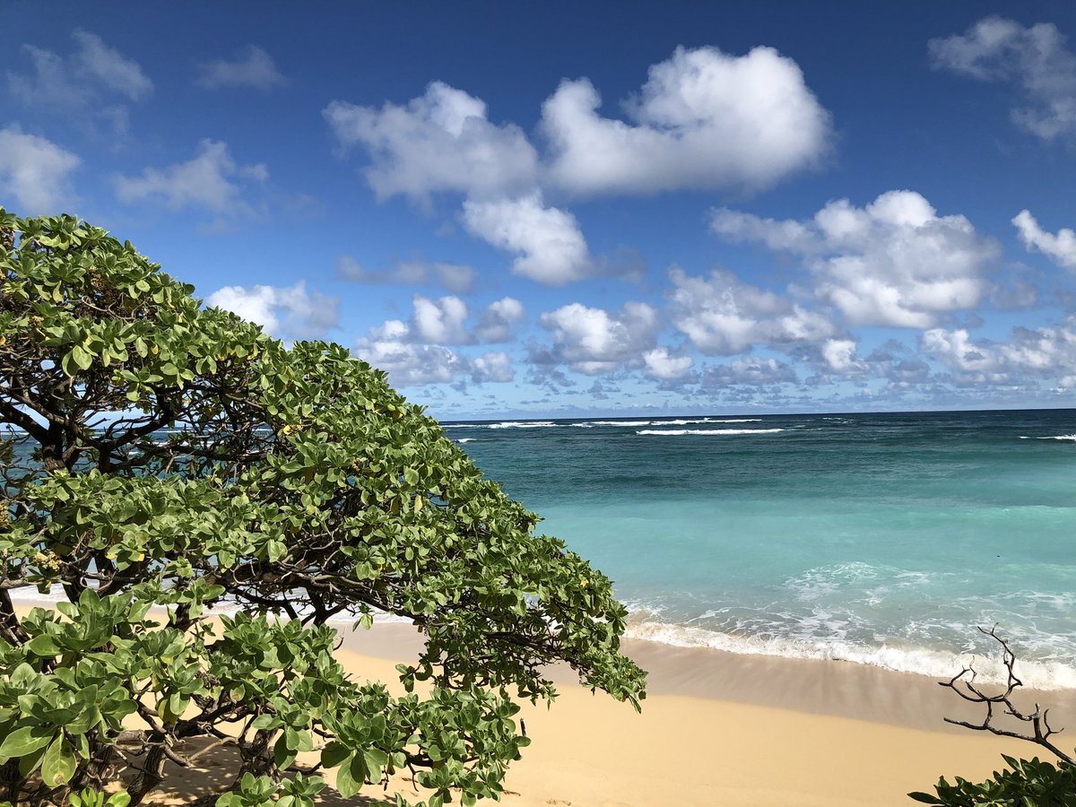 EricWearsTweed's tweet photo. @HawaiianAir #MerryChristmas and holiday cheer along the beautiful east coast of #Oahu! https://t.co/aXolh3VMCM