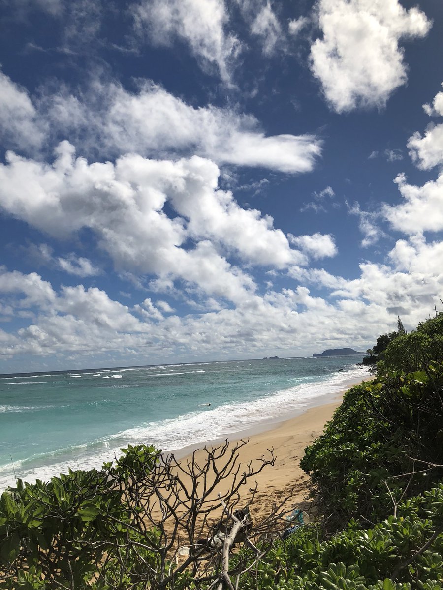 EricWearsTweed's tweet photo. @HawaiianAir #MerryChristmas and holiday cheer along the beautiful east coast of #Oahu! https://t.co/aXolh3VMCM