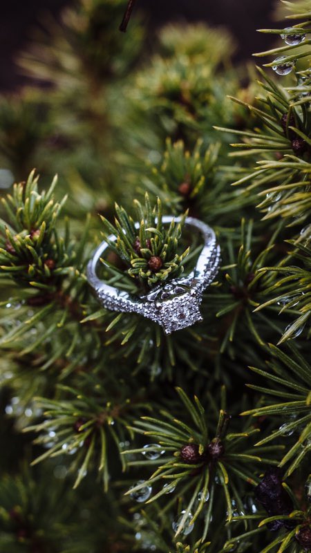 Reva_Thompson_'s tweet photo. Reva Thompson I believe has a nice 💍 to it 😍 #ThompsonToBe #MerryChristmas https://t.co/oo24iQoWqs