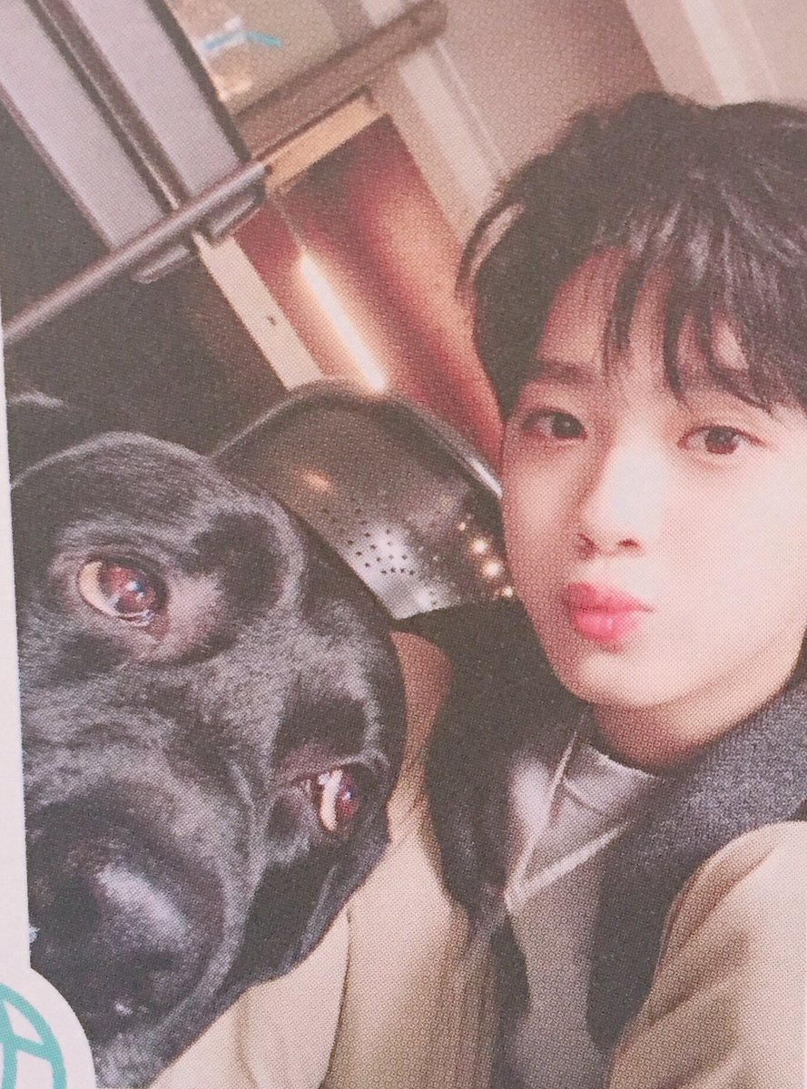 _W991102's tweet photo. 관린 우진 대휘 셀카 https://t.co/ITmEDB1fjk
