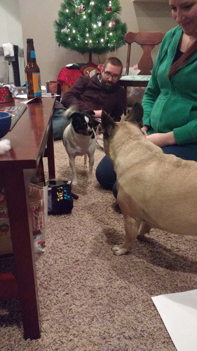 ThePuzz's tweet photo. I met a friend. He's Trouble. Literally. https://t.co/YeEVlwSsX5