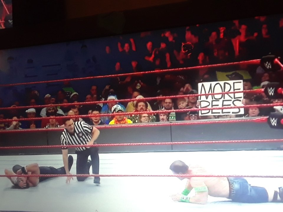 GoodXristianBoy's tweet photo. We want more bees 
#MoreBees🐝  #Raw #Wwe https://t.co/Cs9PbEWEY8
