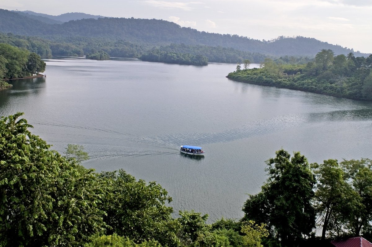 KeralaTourism's tweet photo. Did you know that the Peechi Dam is home to over fifty varieties of orchids? #Thrissur https://t.co/zjIAUmXfX0