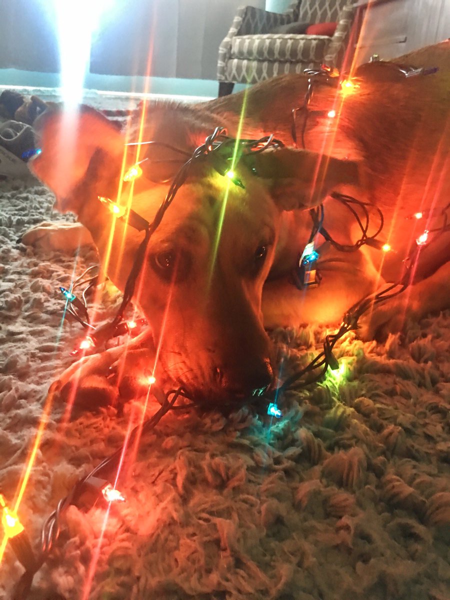 Merry Chrysler❤️🎄❄️