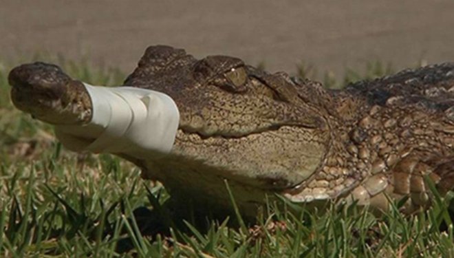 Kép megtekintése a Twitteren Kép megtekintése a Twitteren