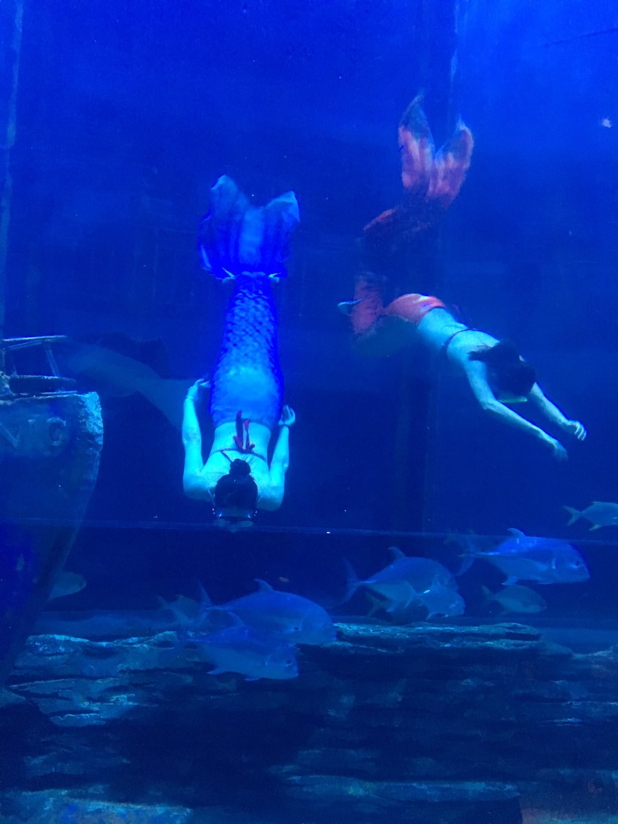 Huichen55's tweet image. chenjin6581.x.yupoo.com/albums?tab=gal…