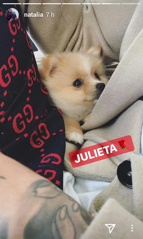 xLMDJx's tweet photo. "En familia" con la perrita de Natalia ok.
🎶Juan tú me partiste el corazón 🎶 https://t.co/IXi2N1nXEh