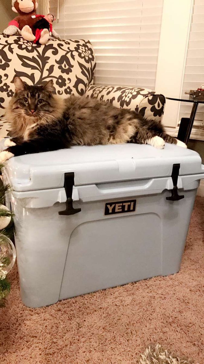 JamieJo0523's tweet photo. Someone like his @YETICoolers https://t.co/alUUEW2osw