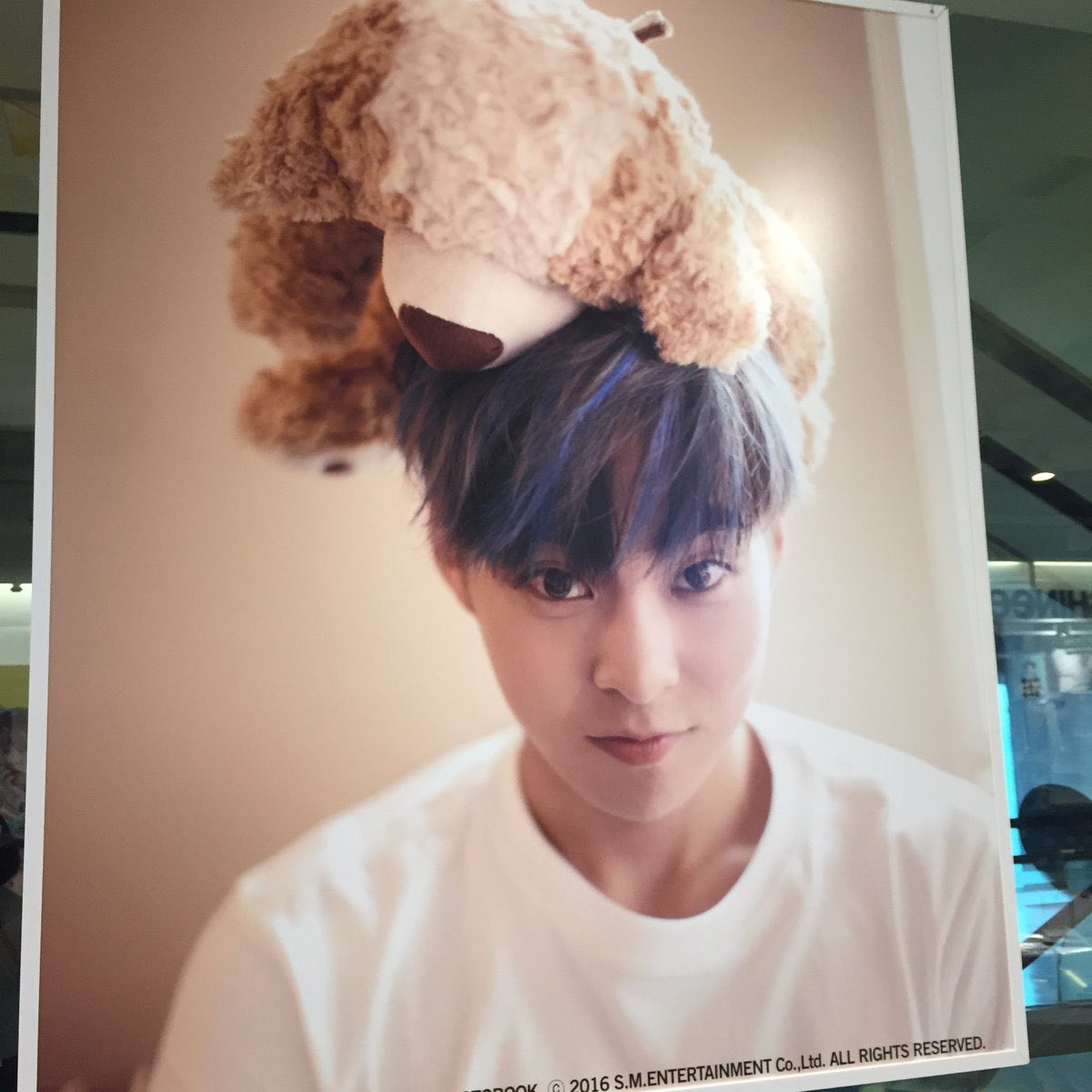 XIUA_NUNA's tweet photo. 나 외 곰돌이 않야 https://t.co/zwTOrBkhH8