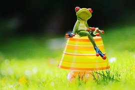LiborvanBree's tweet photo. https://t.co/zpkdwi08c8 
#Tuinmissers Veel gemaakte tuinfouten https://t.co/jEcKvYFMDf