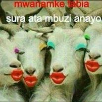 #MazungumzoWaziWazi <a href="/RadioJamboKenya/">Radio Jambo</a> <a href="/JusticeLangat/">Justice Langat</a> enjoy boxing day yako. nimeitiwa kichwa cha mbuzi