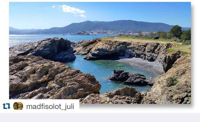 Llancaturisme's tweet photo. Bon dia #Llançà ! ❤⠀⠀MOLT BONES FESTES A TOTS I FELIÇ 2018! 
Aquests dies anirem penjant fotos fantàstiques d'instagram! 
#empordà#capdecreus#costabrava#girona#catalunya#turisme#paradis#travel#sunrise#paradise#spain#igersgirona#descobreixcatalunya#sky#bondia#vacances#holidays https://t.co/X5ZQdBHUIG