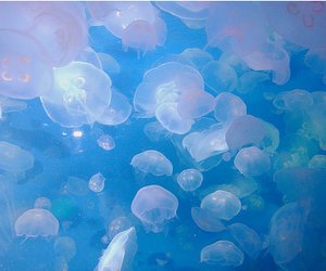 floatyfishy's tweet image. Oooн, yoυ're ѕo lυcĸy! 

☾ — Remade Account 
☾ — Semi-Selective 
☾ — Literate / Detailed 
☾ — Serious / OOC 
☾ — DMs open for plotting
☾ — RTs appreciated

... I wιѕн I woυld тrαvel oυтѕιde тнe ѕeα тoo~!