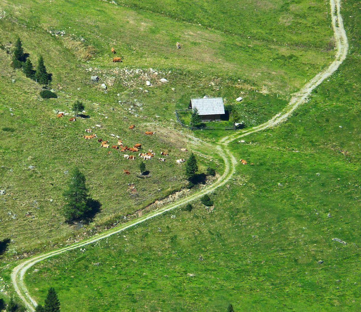 kupastudio's tweet photo. #CESTA #ROAD
#Alpy #Alps #Triebentörl #1900m #Styria #Rakousko #Österreich #Austria #Summer2017 #hiking #naturePhoto #fullColorPhoto #S4ZOom https://t.co/1dePJc2CVE