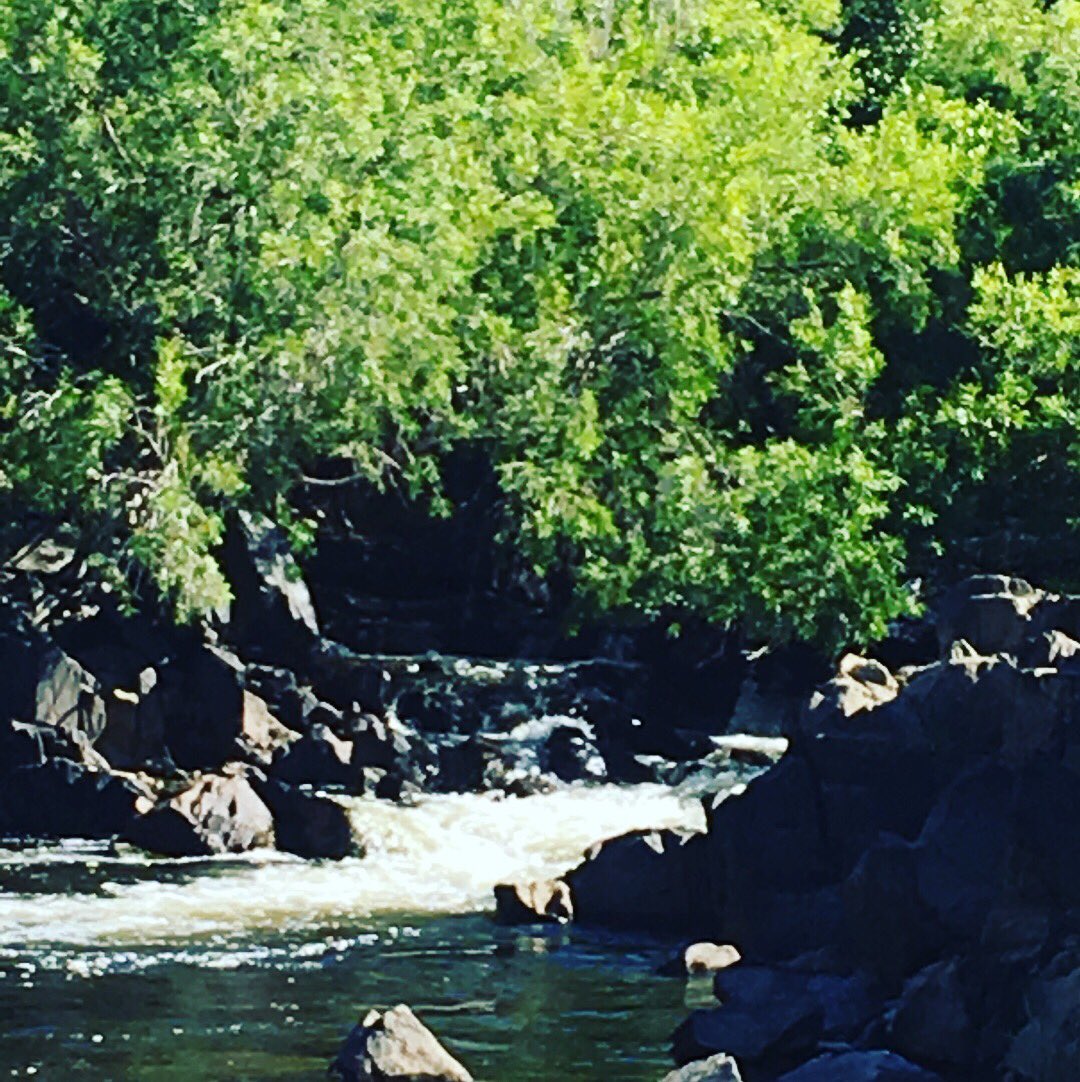 Bass23Jen's tweet photo. Freshwaterswimming #groundingwithnature #cooktown #Australia #waterfall #rockyannon https://t.co/JtalJGZWyB