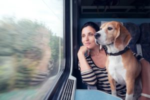 RespiroNews's tweet photo. Feste? I nostri piccoli amici viaggiano con noi.  https://t.co/DPjx0hhAei https://t.co/6c77xZVWf5