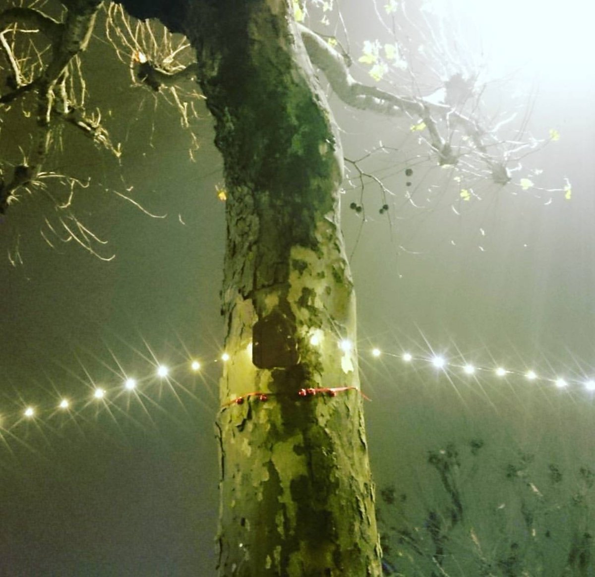 The fairies came back to #GloucesterRoad for Christmas. We do hope they stay. <a href="/GloucesterRoad/">Gloucester Road</a> <a href="/GlosRdArtBanner/">GlosRdArtBanners</a>