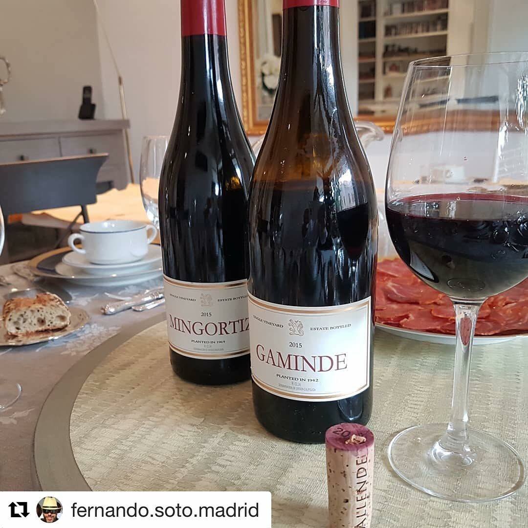 FINCA ALLENDE tweet media