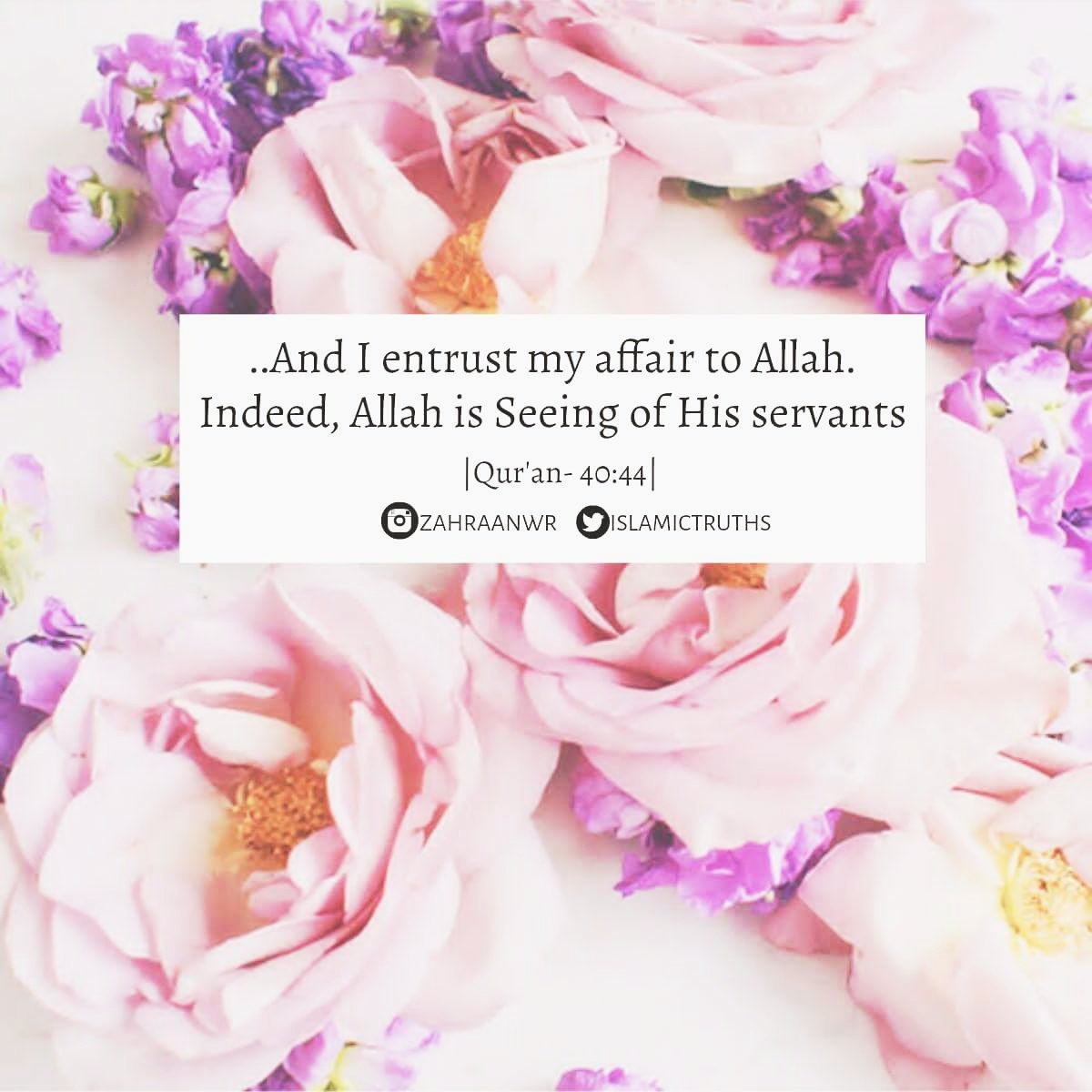 Islamic Reminders tweet media