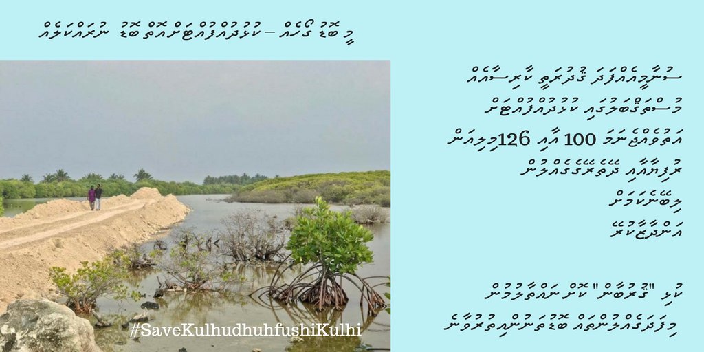 HumayAG's tweet photo. Q. How do mangroves help in a tsunami?
A. Taking first brunt of impact.
#AsianTsunami13Years
#Tsunami2004
#SaveKulhudhuhfushiKulhi
#UnityDay2017
#switch2sendai
#SaveMaldives π
@HdhAtollCouncil https://t.co/j5KvHAnSby