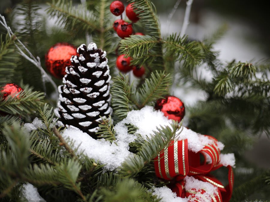 protection_kits's tweet photo. Marry Christmas and Happy New Year . I wish you all great time, love and very happy New Year https://t.co/o38k3OX6HQ