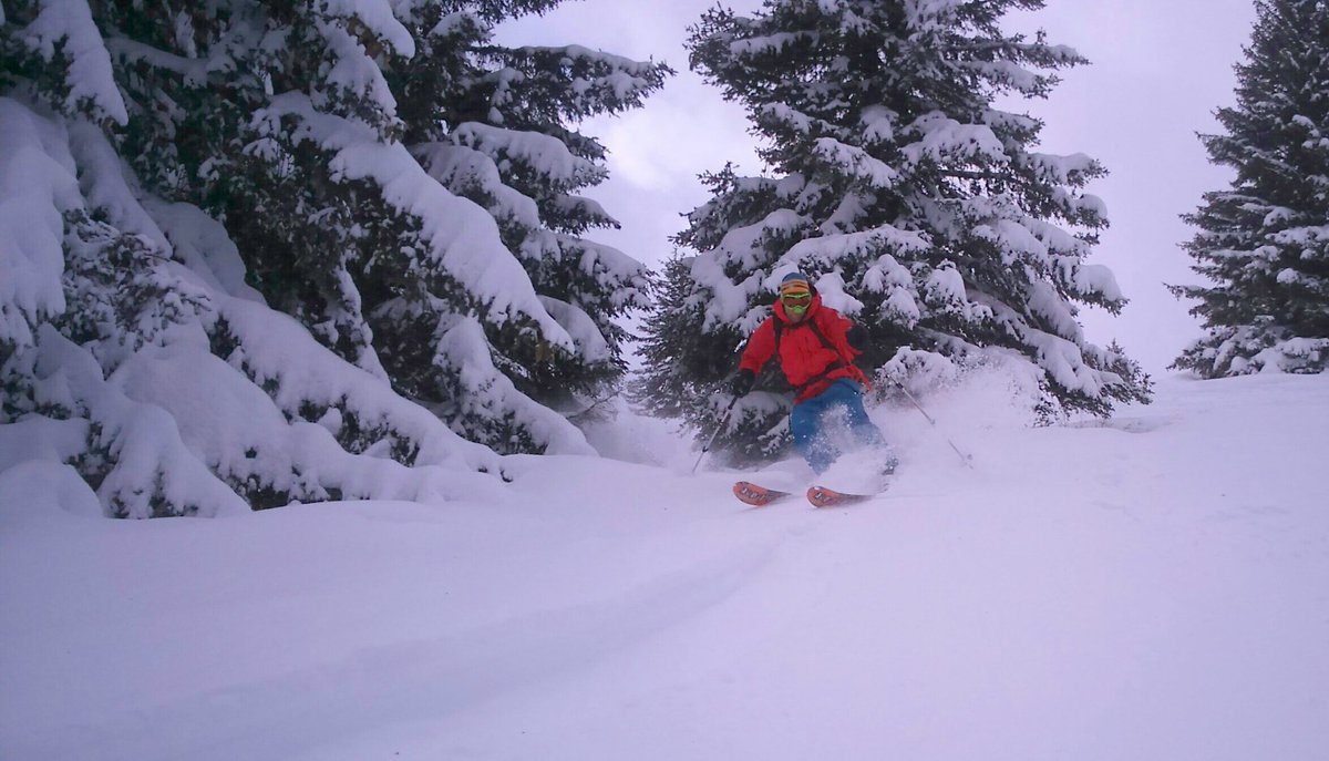 jaggedglober's tweet image. Good fresh snow amongst the tree's at Less Houches today @JaggedGlobe #skipowder