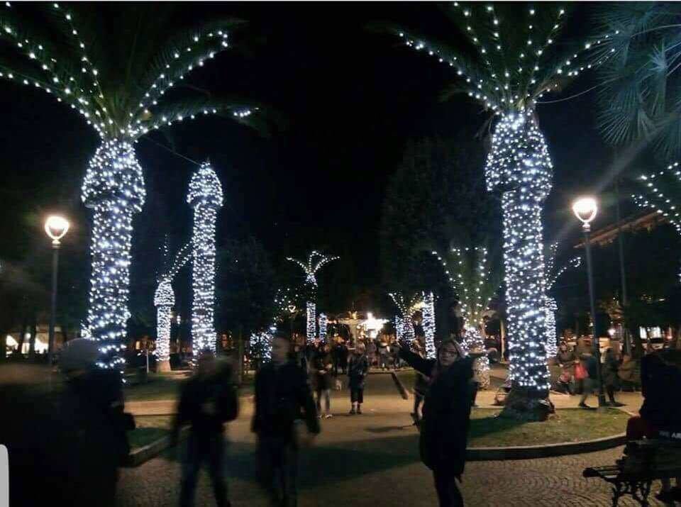 prowlerstores's tweet photo. They say never put lights on a palm tree. I say, this time next year, I'm getting a palm tree Christmas tree ;)
#gaychristmas #ChristmasTree #ChristmasTrees #gayuk #gaylondon #gay #penis #penistree https://t.co/XCoE4gRNJf