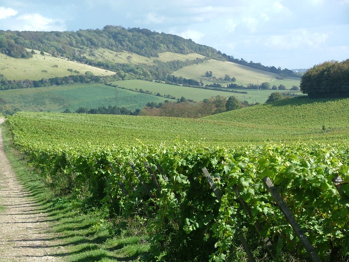 New name for English &amp; Welsh wine industry announced and CEO appointed bit.ly/2ytdUA5