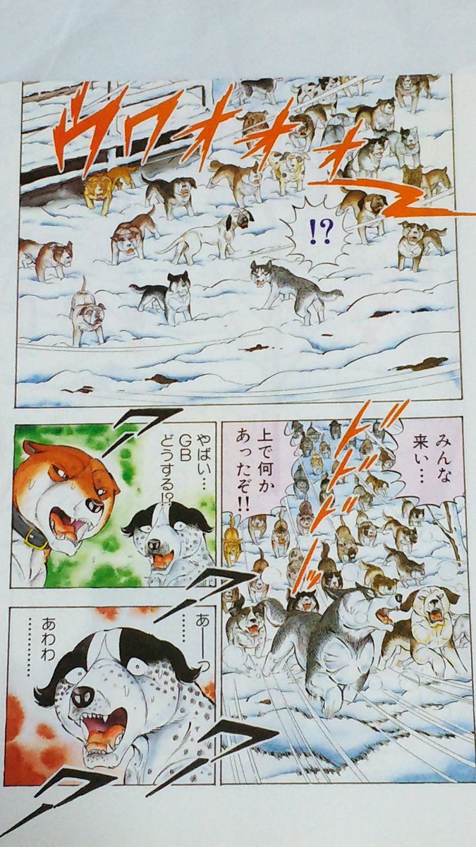 銀牙 銀牙伝説WEED❗9月の表紙と巻頭カラーに、ウィードが登場してい