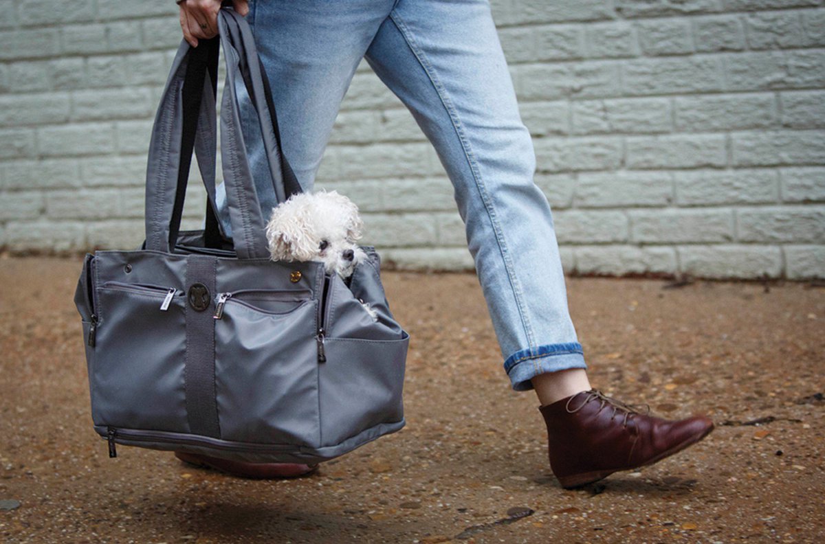 We wonder if dogs know how good they have it, thanks to <a href="/MISOPUP/">MISO PUP</a> bit.ly/2k7IkT3