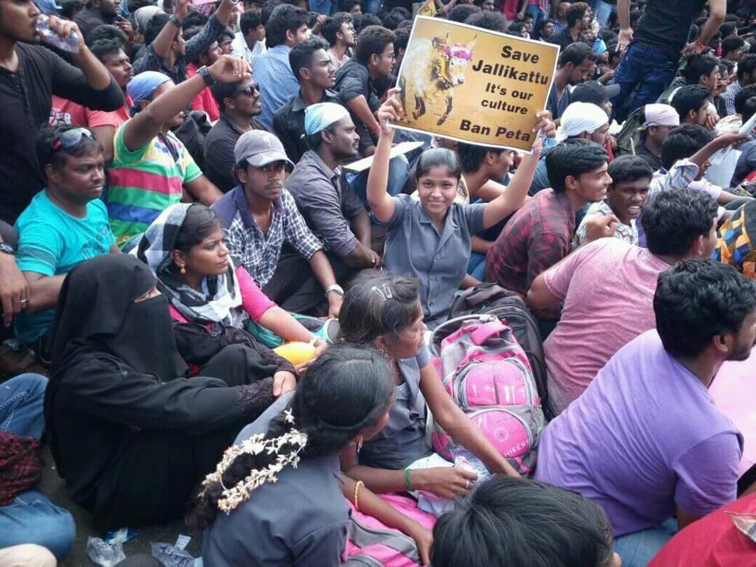 Ramya10655428's tweet photo. @harathi_hahaha Akka nanum jalli kattu protest pannan 4 days 1 nyt beach la stay pannan https://t.co/mqWLzI6lgU