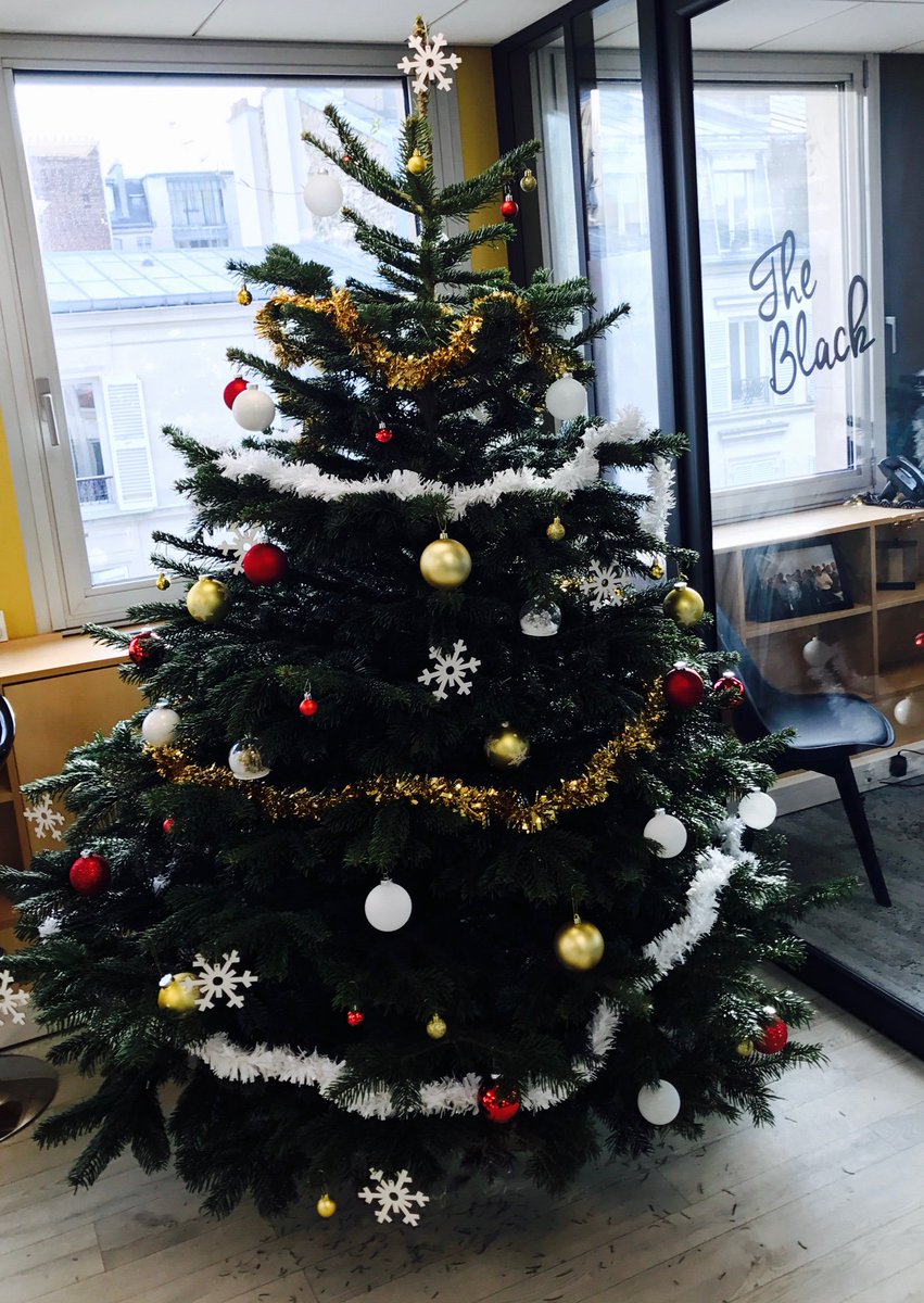 #newsossia Notre beau sapin de Noël a fait son apparition dans nos locaux ! Merry Xmas