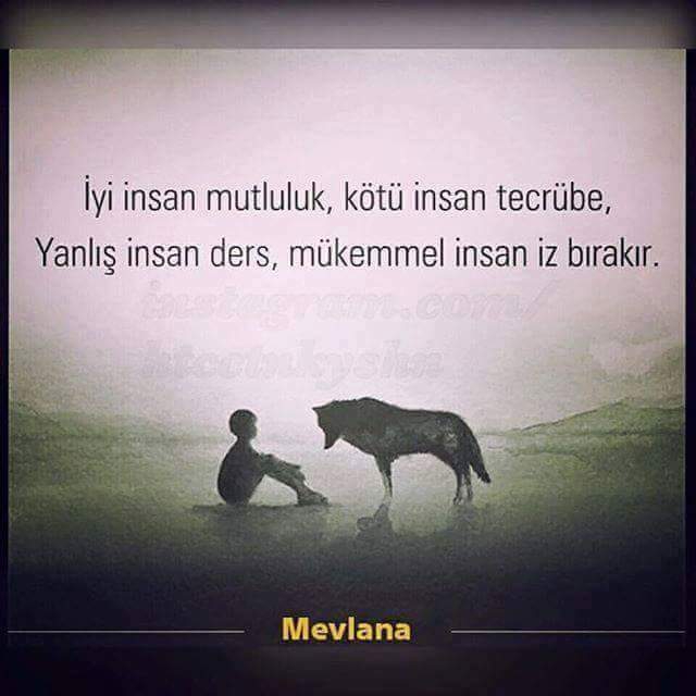 MEVLÜT İLKAYA (@milkaya) on Twitter photo 
