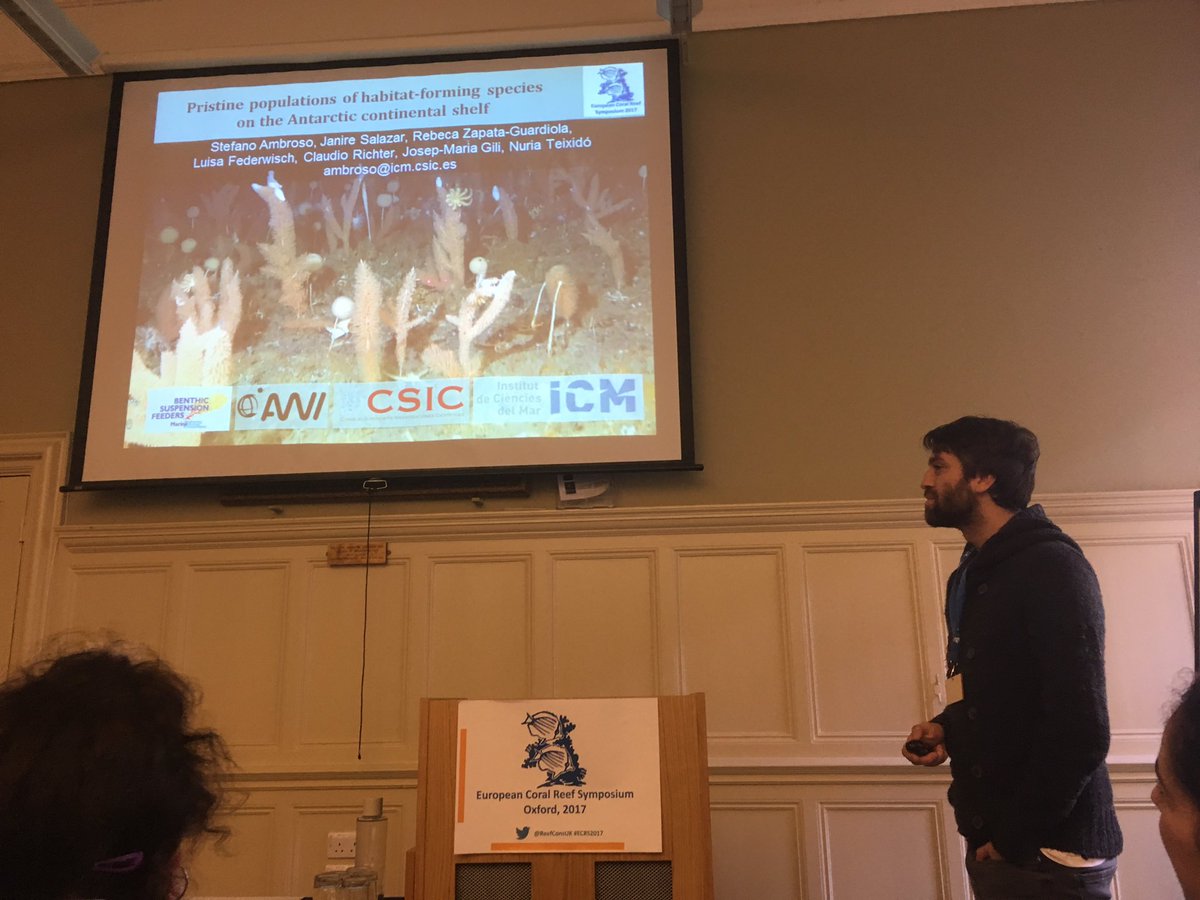 G_Corbera's tweet photo. @StefanoAmbroso  is talking about pristine gorgonian  populations from #Antarctica #ECRS2017 https://t.co/u6Fufzj2Up