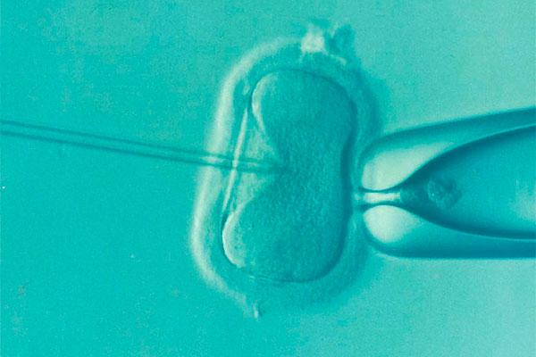 Más del 30% de los bebés españoles nacerá gracias a una donante de óvulos #ReproduccionAsistida <a href="/OvodonacionWeb/">Ovodonacion</a> <a href="/OvodonCba/">Ovodonación Córdoba</a> bit.ly/2AFJrVb