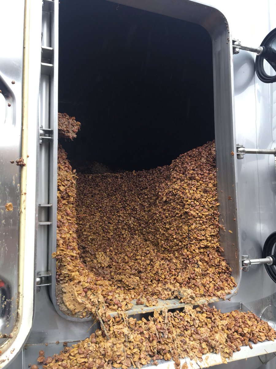 Encubre: 13 de agosto.
Descubre: 14 de diciembre.
4 meses y un día con pieles.