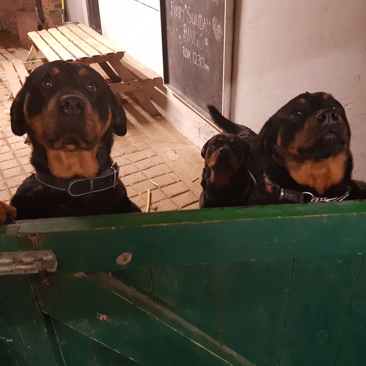 @getskyhome tweet media