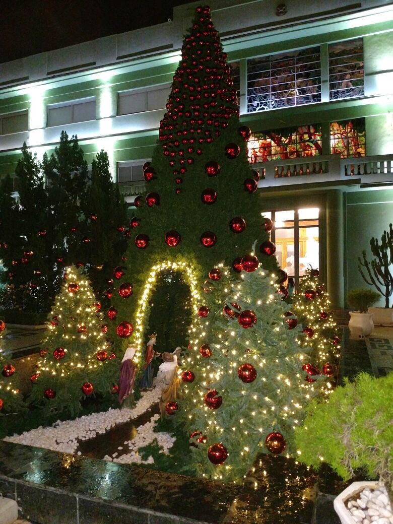 Natal 🎄 chegando que tenhamos um natal abençoado. #BetaQuerLab #BetaSegueBeta #BetaSegueBeta