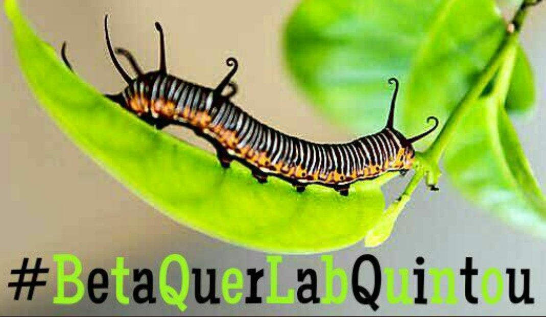 fael_luis33's tweet photo. Bom dia Betas!
Quintou, então bora para mais um dia 💪💪💪
#BetaQuerLab #BetaQuerLabQuintou https://t.co/hLez6GFTIU