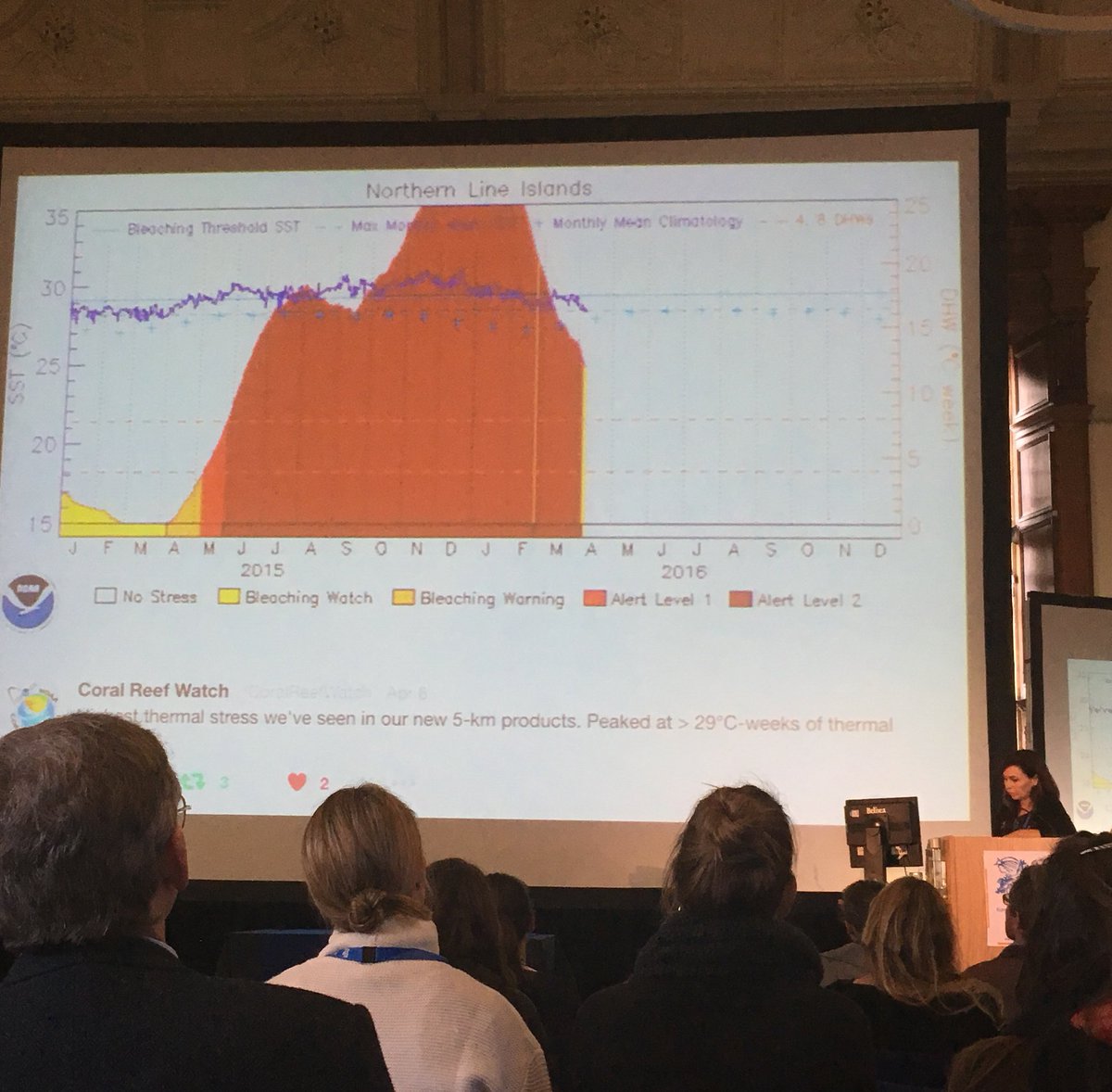 Heartbreaking: Ass. Prof Julia Baum describes how her study site Christmas Island experienced 10 months of warming that "broke the <a href="/NOAACoral/">NOAA Coral Program</a> charts" leaving less than 4% coral cover across her sites <a href="/baumlab/">Dr. Julia K. Baum</a> #ECRS2017 <a href="/ReefConsUK/">Reef Conservation UK</a>
