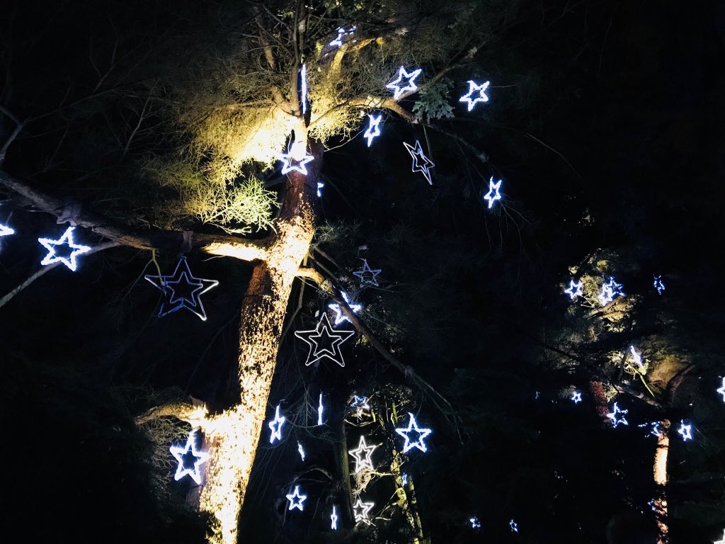 BramhopeWI's tweet photo. Fantastic trip to Christmas at Kew last night. The lights and displays are brilliant. Finished with a few drinks in the hotel bar. Great outing!!! https://t.co/9t62jsXJ1n