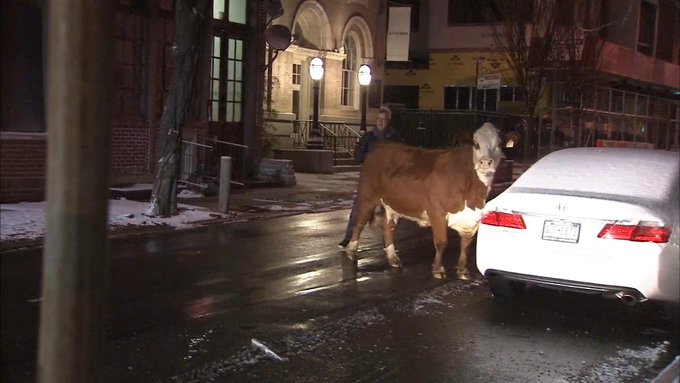 DRAUfpxUQAEJnnS.jpg:small