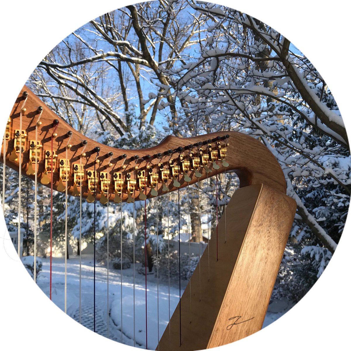 Bedside_Harp's tweet photo. First snowfall of the season ❄️
#bedsideharp #harp #healing #harptherapy #musicinhealthcare #firstsnowfall2017 #winterwonderland https://t.co/uTCAcnXbZr