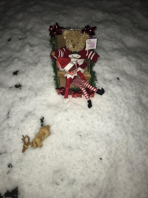 Bromsgrovecen's tweet photo. Bernard has been busy on Wed 13th he was decorating the tree and in the early hours of thismorning 14th he was representing Bromsgrove Central in the 2 man toboggan. He did have a slight crash but good news is so did the others and he went on to win! #12daysofBernard https://t.co/7BcpoWwI8P