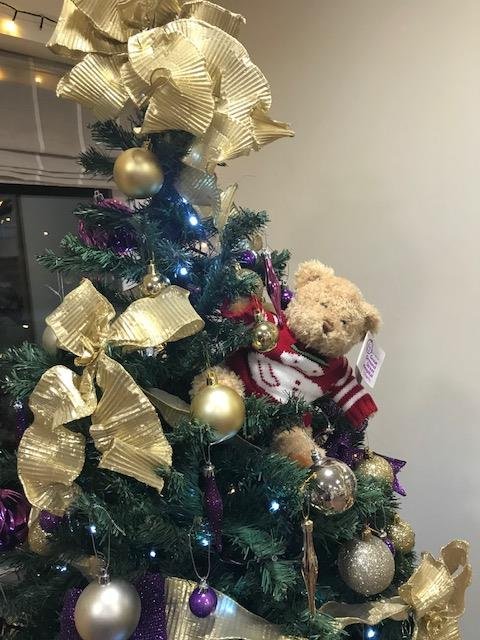Bromsgrovecen's tweet photo. Bernard has been busy on Wed 13th he was decorating the tree and in the early hours of thismorning 14th he was representing Bromsgrove Central in the 2 man toboggan. He did have a slight crash but good news is so did the others and he went on to win! #12daysofBernard https://t.co/7BcpoWwI8P