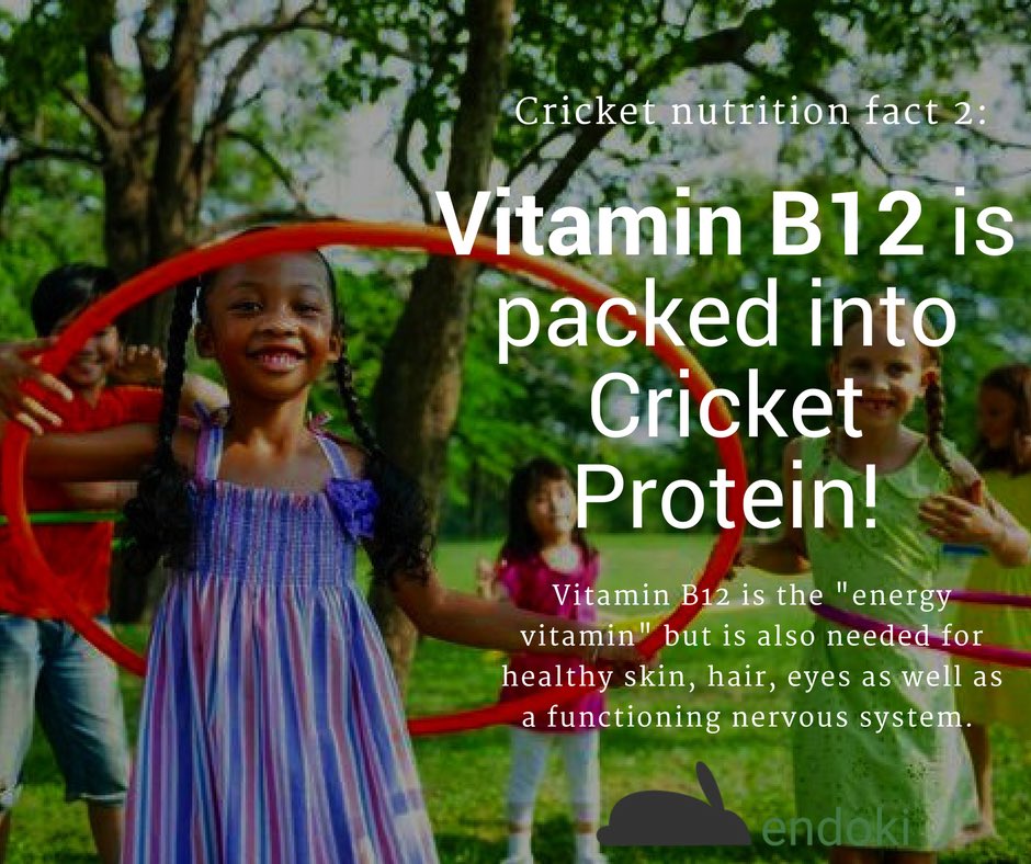 Joeytot21's tweet photo. We need these nutrients in our diet daily. Cricket protein is filled with so many benefits!:) Stay tuned for more #food #Sustainability #edibleInsects #health https://t.co/eu8dzkfPG4