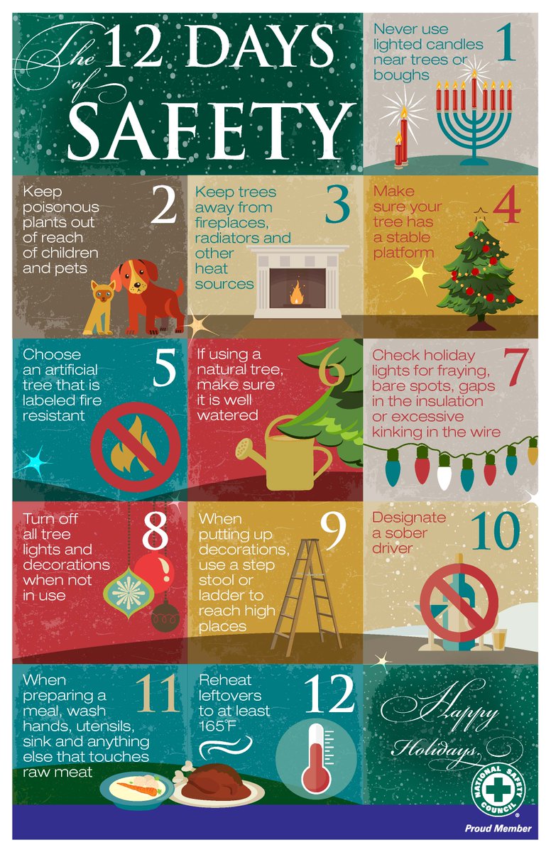 trafficsafetyfl's tweet photo. The 12 Days of Safety are here compliments of @NSCsafety.  #FireSafety #ElectricalSafety #ImpairedDriving #KitchenSafety #HappyHolidays2017 https://t.co/NCwUdjIfLp