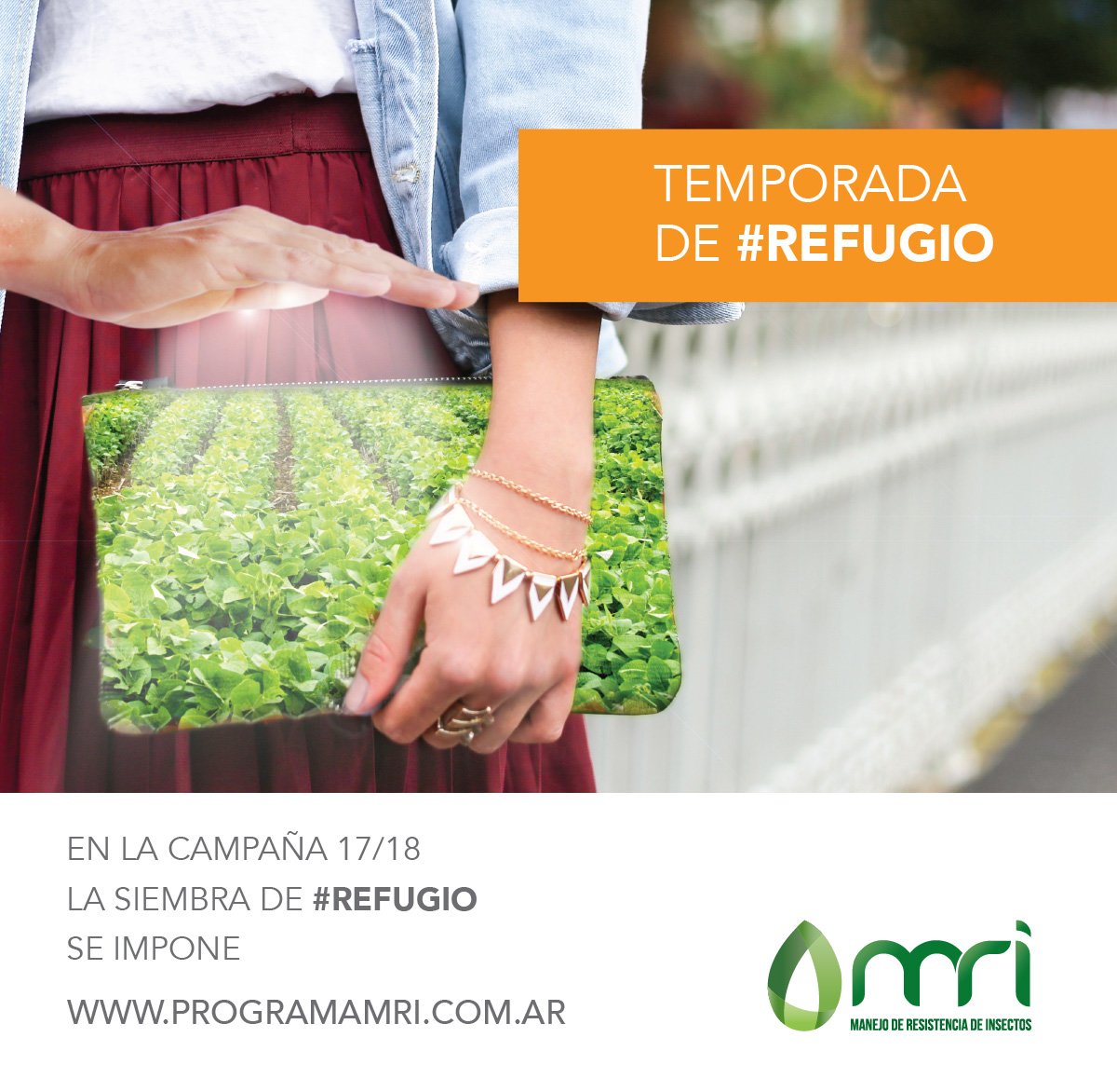 argenbiooficial's tweet photo. En la Campaña #17/18 la Última Moda para #Maíz, #Soja y #Algodón Bt es el #Refugio, ¿lo sembraste?. Consultá https://t.co/1tzwzi9oxZ
#Campo #Tecnologia #InsectosPlaga https://t.co/SSZK2kCnGv