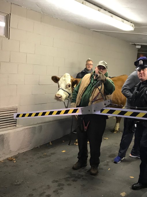 DRAWy8yW4AA2Ikp.jpg:small